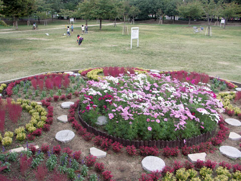 八幡屋公園の芝生広場