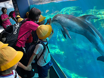 海遊館