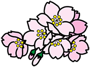 春イメージ:さくら